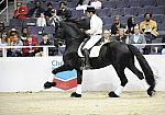 WIHS-10-25-09-DSC_3068-WOH-WishUponASter-Sponsors-Chevron-DDeRosaPhoto.jpg