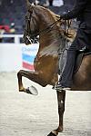 WIHS-10-25-09-DSC_3552-WOH-BillShiflet-Saddlebreds-Sponsors-Chevron-DDeRosaPhoto.jpg