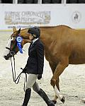 WIHS-10-21-09-DSC_2351-Confidential-ErinStewart-Sponsors-Chronicle-DDeRosaPhoto-vert.jpg