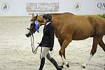 WIHS-10-21-09-DSC_2351-Confidential-ErinStewart-Sponsors-Chronicle-DDeRosaPhoto.jpg