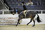 WIHS-10-24-10-Cl185WIHSPnyEqFinals-DER_8356-Tango-MadelynKeck-AllTheBest-VictoriaColvin-Sponsors-Chronicle-DDeRosaPhoto.jpg