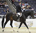 WIHS-10-24-10-Cl250HtrDrby-DER_8416-Declaration-ScottStewart-Sponsors-Chronicle-DDeRosaPhoto.jpg