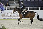 WIHS-10-25-09-DSC_1824-PosterBoy-AshleyFoster-Sponsors-Chronicle-DDeRosaPhoto.jpg