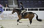 WIHS-10-25-09-MedPny-DSC_1824-PosterBoy-AshleyFoster-Ponies-Sponsors-Chronicle-DDeRosaPhoto.jpg