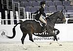 WIHS-10-20-09-DSC_0813-Castille-AliSelman-Sponsors-Dehner-DDeRosaPhoto.jpg