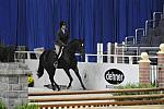 WIHS-10-20-09-DSC_9407-Nice-TerryBrown-Sponsors-Dehner-DDeRosaPhoto.jpg
