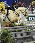 WIHS-10-25-09-DSC_2403-CosandersCamelot-IsabelleCacoamise-Sponsors-Dover-DDeRosaPhoto.jpg