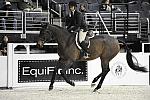 WIHS-10-20-09-DSC_9507-AllTheStars-SandyFerrell-Sponsors-EquFit-DDeRosaPhoto.jpg