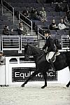 WIHS-10-20-09-DSC_9714-007-DanielGeitner-Sponsors-EquFit-DDeRosaPhoto.jpg