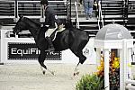 WIHS-10-20-09-DSC_9889-Grafite-DanielGeitner-Sponsors-EquFit-DDeRosaPhoto.jpg