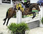 WIHS-10-21-09-DSC_1297-Gianni-MaggieJayne-Sponsors-EquiFit-DDeRosaPhoto.jpg