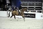 WIHS-10-21-09-DSC_2373-Confidential-ErinStewart-Sponsors-EquiFit-DDeRosaPhoto.jpg