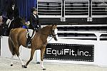 WIHS-10-22-09-DSC_3970-Confidential-HasbrouckDonovan-SmJrHtr15U-Sponsors-EquFit-DDeRosaPhoto.jpg