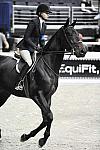 WIHS-10-23-09-DSC_8398-Apartico-AbigailMcArdle-Sponsors-EquiFit-DDeRosaPhoto.jpg