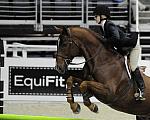 WIHS-10-24-09-DSC_0287-Sponsors-EquiFit-DDeRosaPhoto.jpg