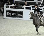 WIHS-10-25-09-DSC_1699-RicoSuave-AlleeceJarman-Sponsors-EquiFit-DDeRosaPhoto.jpg