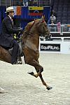 WIHS-10-25-09-DSC_3483-WOH-BillShiflet-Sponsors-EquFit-DDeRosaPhoto.jpg