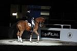 WIHS-10-25-09-DSC_3884-AshleyHolzer-PopArt-Sponsors-EquFit-DDeRosaPhoto.jpg