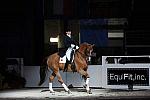 WIHS-10-25-09-DSC_3919-AshleyHolzer-PopArt-Sponsors-EquFit-DDeRosaPhoto.jpg
