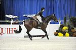 WIHS-10-20-09-DSC_0741-Sponsors-Equiery-DDeRosaPhoto.jpg