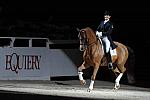 WIHS-10-23-09-DER_7366-AshleyHolzer-PopArt-Sponsors-Equiery-DDeRosaPhoto.jpg