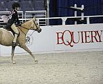 WIHS-10-24-10-Cl250HtrDrby-DER_8396-Jerseyboy-JenniferAlfano-Sponsors-Equiery-DDeRosaPhoto-crop.jpg