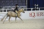 WIHS-10-24-10-Cl250HtrDrby-DER_8396-Jerseyboy-JenniferAlfano-Sponsors-Equiery-DDeRosaPhoto.jpg