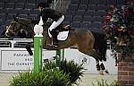WIHS-10-21-09-AdultJprCh-DSC_3322-Playboy-MaryLoeber-Sponsors-FarawayFarm-DDeRosaPhoto.jpg