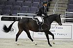 WIHS-10-21-09-DSC_1413-Sanmorino-JackHammond-Sponsors-FarawayFarm-DDeRosaPhoto.jpg