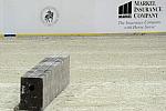 WIHS-10-21-09-DSC_2213-Sponsors-Markel-DDeRosaPhoto.jpg