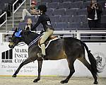 WIHS-10-24-09-DER_8358-Tango-MadelynKeck-Winners-Sponsors-Markel-Sponsors-Markel-DDeRosaPhoto.jpg