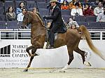 WIHS-10-25-09-DSC_3440-WOH-BillShiflet-Sponsors-Markel-DDeRosaPhoto.jpg