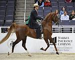 WIHS-10-25-09-DSC_3454-WOH-BillShiflet-Sponsors-Markel-DDeRosaPhoto.jpg