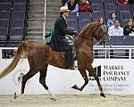 WIHS-10-25-09-DSC_3454-WOH-BillShiflet-Sponsors-Markel-DDeRosaPhoto.jpg