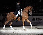 WIHS-10-25-09-DSC_3893-AshleyHolzer-PopArt-Sponsors-Markel-DDeRosaPhoto.jpg