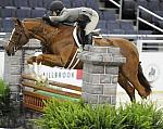 WIHS-10-20-09-DSC_0277-Sponsors-Millbrook-DDeRosaPhoto.jpg