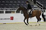 WIHS-10-21-09-DSC_2297-Maestro-AmandaGoldman-Sponsors-Millbrook-DDeRosaPhoto.jpg