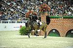 WIHS-10-23-09-DER_7719-GaelForce-DarraghKenny-Puissance-Sponsors-Millbrook-DDeRosaPhoto.jpg