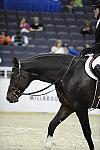 WIHS-10-24-10-Cl250HtrDrby-DER_8418-Declaration-ScottStewart-Sponsors-Millbrook-DDeRosaPhoto.jpg