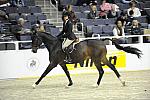 WIHS-10-23-10-WIHSJrEqHtr-DSC_8201-Prosecco24-PaulenaJohnson-Sponsors-Nikon-DDeRosaPhoto.jpg