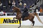 WIHS-10-25-09-DSC_3444-WOH-BillShiflet-Sponsors-Nikon-DDeRosaPhoto.jpg