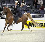 WIHS-10-25-09-DSC_3445-WOH-BillShiflet-Sponsors-Nikon-DDeRosaPhoto.jpg