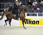 WIHS-10-25-09-DSC_3448-WOH-BillShiflet-Sponsors-Nikon-DDeRosaPhoto.jpg