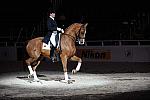 WIHS-10-25-09-DSC_3969-AshleyHolzer-PopArt-Sponsors-Nikon-DDeRosaPhoto.jpg