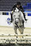 WIHS-10-20-09-DSC_9418-Bolero-SandyFerrell-Sponsors-Pedigree-DDeRosaPhoto.jpg