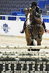 WIHS-10-20-09-DSC_9436-Tasty-TerryBrown-Sponsors-Pedigree-DDeRosaPhoto.jpg