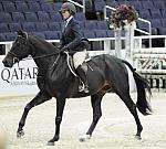 WIHS-10-20-09-DSC_0299-Sponsors-Qatar-DDeRosaPhoto.jpg