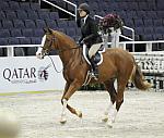 WIHS-10-20-09-DSC_9798-Quintessential-RachelWebster-Sponsors-Qatar-DDeRosaPhoto.jpg