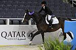 WIHS-10-21-09-DSC_3261-WIHSChJpr-Sponsors-Qatar-DDeRosaPhoto.jpg