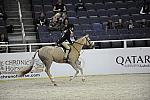 WIHS-10-25-09-DSC_2090-Sponsors-Qatar-DDeRosaPhoto.jpg